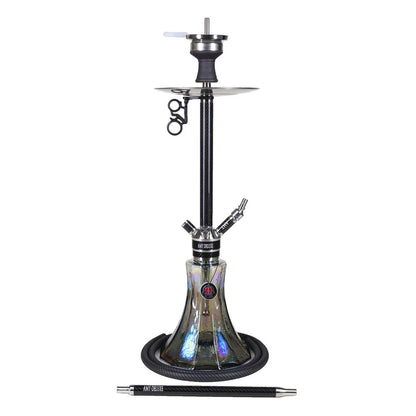 AMY Deluxe Carbonica Pride RS 22.02